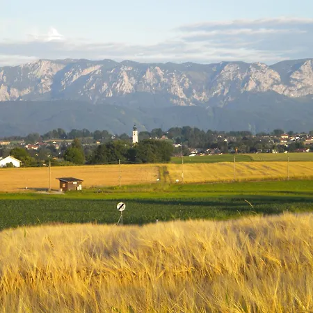Gasthuis Gaestehaus Jedinger Sankt Georgen im Attergau