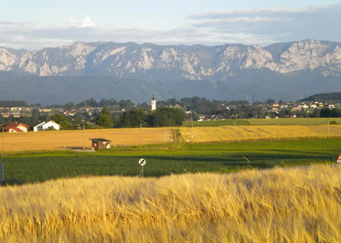 Πανσιόν Gaestehaus Jedinger Sankt Georgen im Attergau